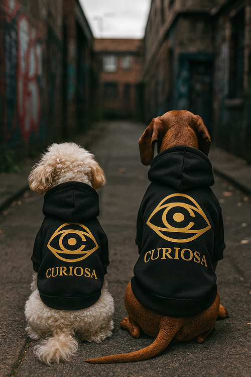 Load image 1 in gallery view. Dog Curiosa