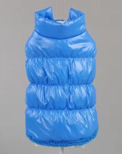 Load image 1 in gallery view. Blue Coat